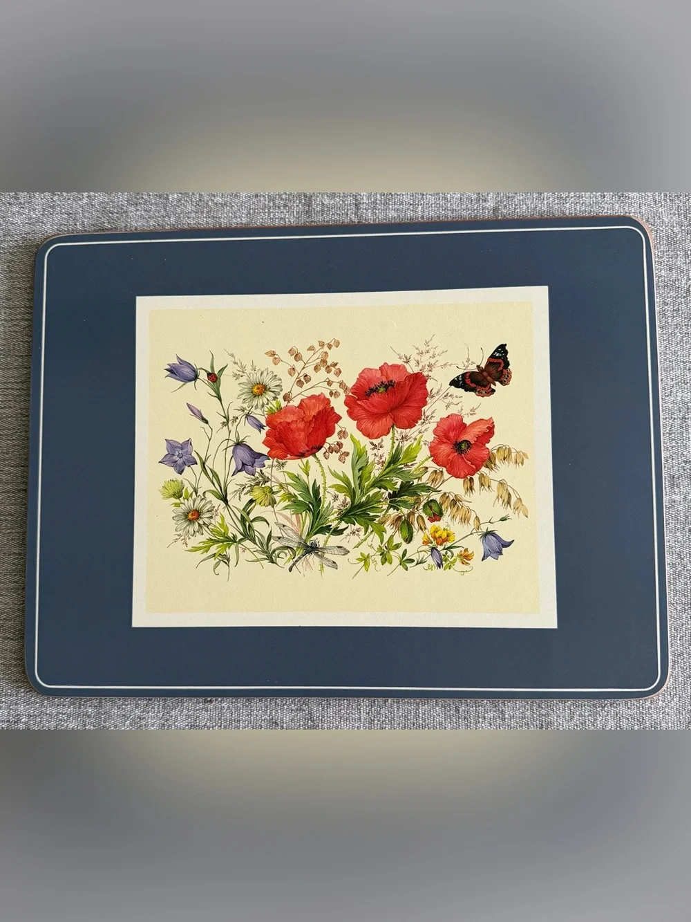 Set of Six Pimpernel English Butterfly Collection Cork-backed Placemats